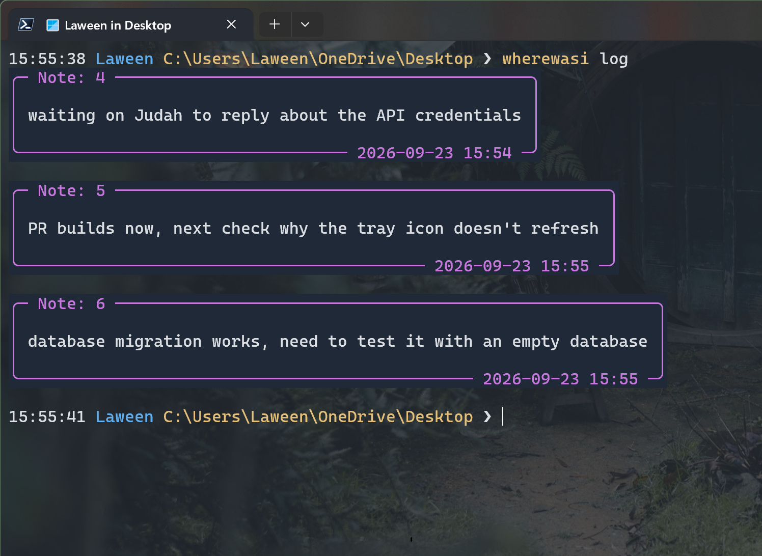 wherewasi terminal screenshot.